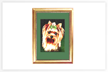 Pet portrait