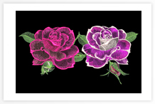 Embroidery design