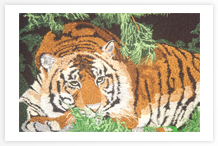 Embroidery design